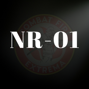 NR 01 - Disposições Gerais e Gerenciamento de Riscos Ocupacionais